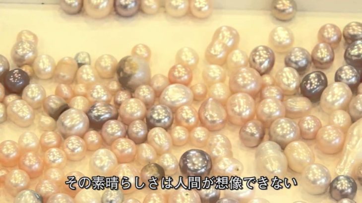茨城県郷土工芸品～淡水真珠