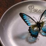 【レジン】ワイヤーで蝶々のブローチ  DIY making wire art accessory [Butterfly brooch]