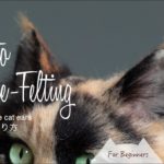 羊毛フェルト猫　基本の耳の作り方☆How to make cat ears for needle felting