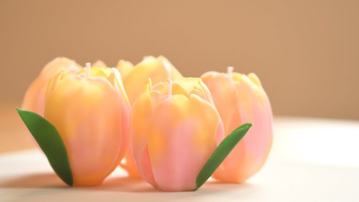 チューリップキャンドル作り。diy craft tulips candle