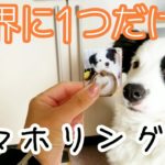 【クリケ】アプリでオリジナルスマホリング作ってみた／ボーダーコリー子犬