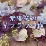 紫陽花のドライフラワーの作り方　How to make dried hydrangea flowers