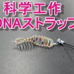 DNAビーズアクセサリー作成ガイド