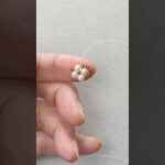 パールを使ったかんたんリングとピアス/Simple ring and earrings with pearls