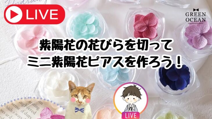 紫陽花の花びらでミニピアスを作ろう！#レジン  #ハンドメイド #隠れ工房greenocean