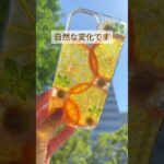 【腐らないんですか？にお答えします！】#ハンドメイド #ハンドメイド作家 #レジン #レジン作家 #押し花 #押しフルーツ